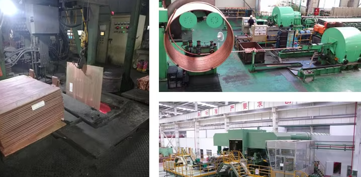 copper strip roll copper strip roll